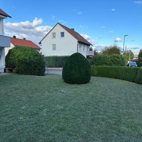 rsg reinigungs service (6)